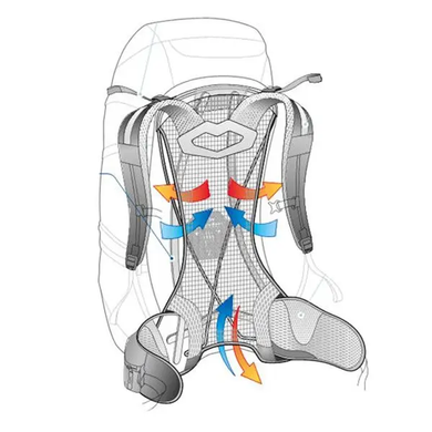 Backpack Deuter Futura 32 reef-ink