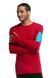 Thermal T-shirt for men Icebreaker BF 260 Apex LS Crewe mountain Icon MEN rocket/aegean, L